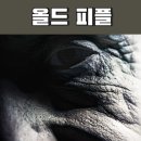 올드 피플 | 넷플릭스 올드피플 평점 후기 노인들의 반란 / 해석