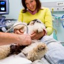 헤이든동물병원 이미지