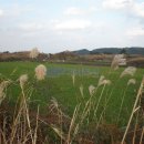 시흥리-4 이미지