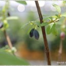 댕댕이연구소 이미지