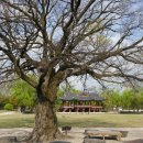 남원 광 한 루 이미지