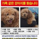 코코농장 1 이미지