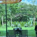 카페자연 이미지