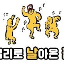 강남성원의원 | 260121 라섹 후기