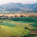 동검협동양식어업 | 어촌계원 자격 및 가입방법과 혜택, 유의사항