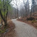 치유의숲 진입도로 이미지