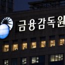 금융감독원 이미지