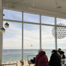 카페 속초 | 속초 오션뷰 카페 웨일라잇 후기 바다뷰 감성 카페 추천