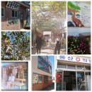 박두성 생가터 | 조용한 여행지 '교동도'