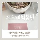 봄날케어 | 제주시피부관리샵 추천 에스테틱봄날 작은얼굴윤곽케어 효과 후기