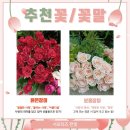 서울한영대학교 이미지