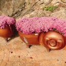 돝섬해상유원지 이미지