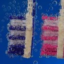 유림치과병원 이미지