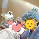 자연보검 이미지