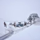 대관령 목장길펜션 이미지