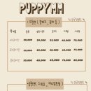 퍼피몽몽 이미지