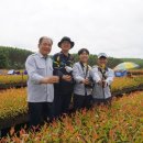 박종명 농장 이미지