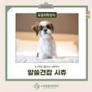 왕실동물병원 이미지