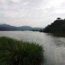 청산낚시