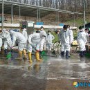 김기동농장 이미지