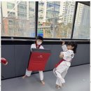 미르태권도 이미지