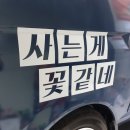 비엔테크 이미지
