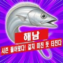 남창낚시터 | 남해 전남 해남 도보 워킹 갈치 풀치 루어 텐야 원투 낚시 잘잡히는 포인트 추천