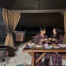 고성 | 풀빛고성 박씨네 후기 : 1인당 만원으로 즐기는 부산 근교 촌캉스