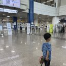 초1, 초3과 함께한 4박 5일 제주도 여행