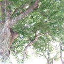 충격적인 언론의 행태 | 김민석 불법에 조용한 이유 있었다 이미지