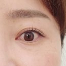 솔로몬부동산 | 강릉속눈썹펌 윤눈뷰티 바짝컬+블랙래쉬 후기, 눈매 또렷해진 리얼 경험