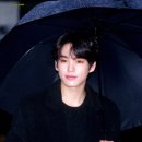 차니차니