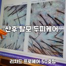 이오나 | 천안 불당동 산후탈모 두피케어 후기