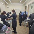 튼튼애견미용