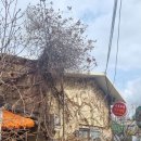 골목토속허브식당 이미지