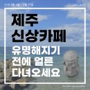 제주 신상카페 가오픈카페 리스트 (8월)