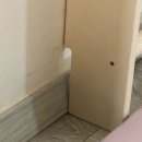 바풀 슈로스바 홈 필라테스 벽 사다리 내돈내산 후기