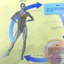 진인한의원 이미지