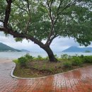 남해-184 이미지