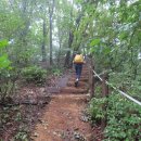 광교산 체육공원 이미지