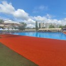 도그 스포지움 이미지