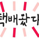 에코클리너 이미지