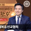 [하나님의 교회 / 패스티브] 상어의 살기 위한 끊임없는 몸짓 이미지