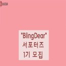 다이블링 네이버블로그