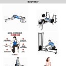 바디셀프 이미지