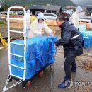 천도리양지마을 이미지