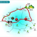 영광종로약국 이미지