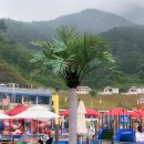 아쿠아 파크 이미지