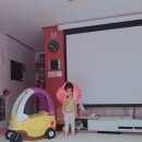 온리지