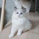 오예쁘다